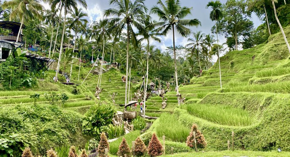 Groepsreis Tegalalang Ubud Bali